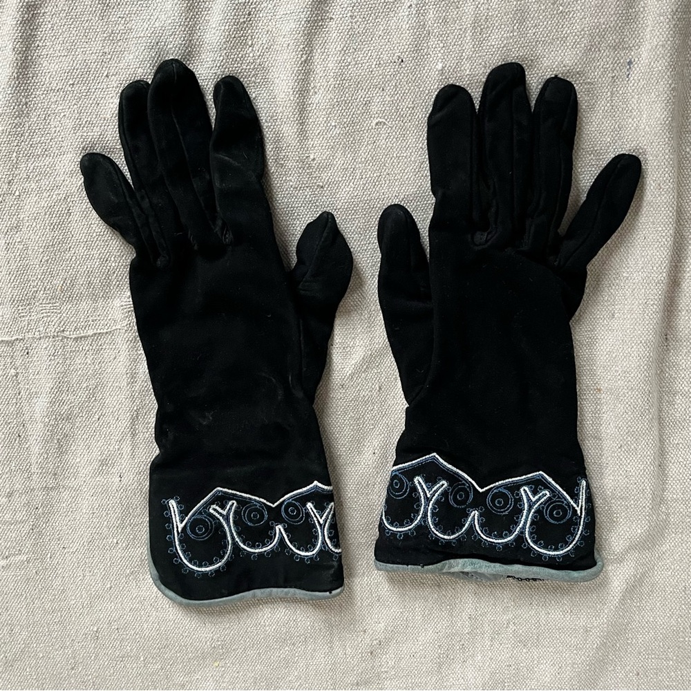 2/$20 Embroidered Women’s Winter Gloves